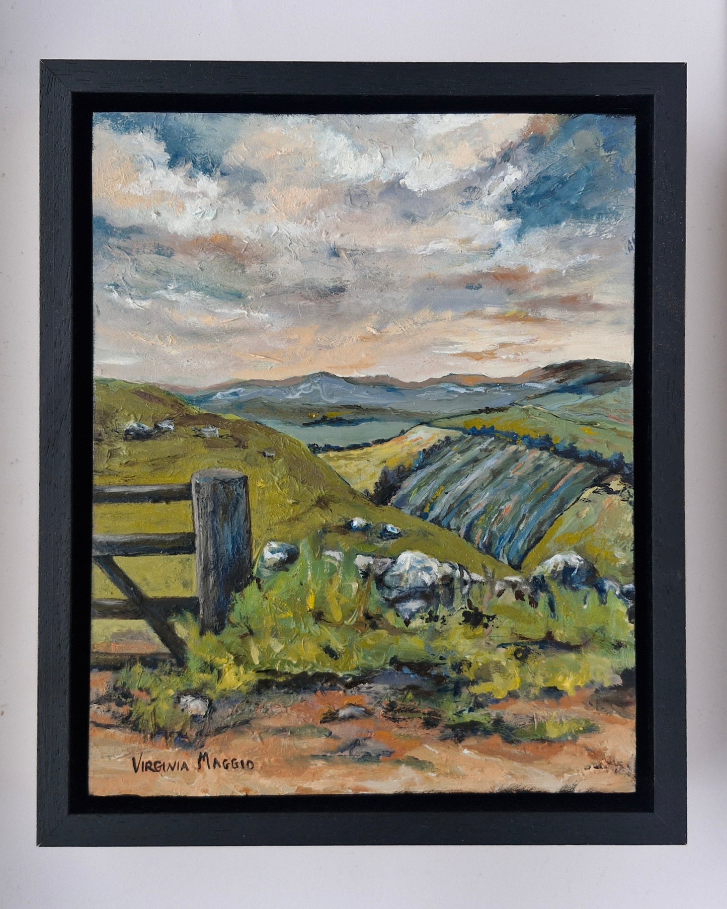 East Lothian Fields from Garleton Hill.