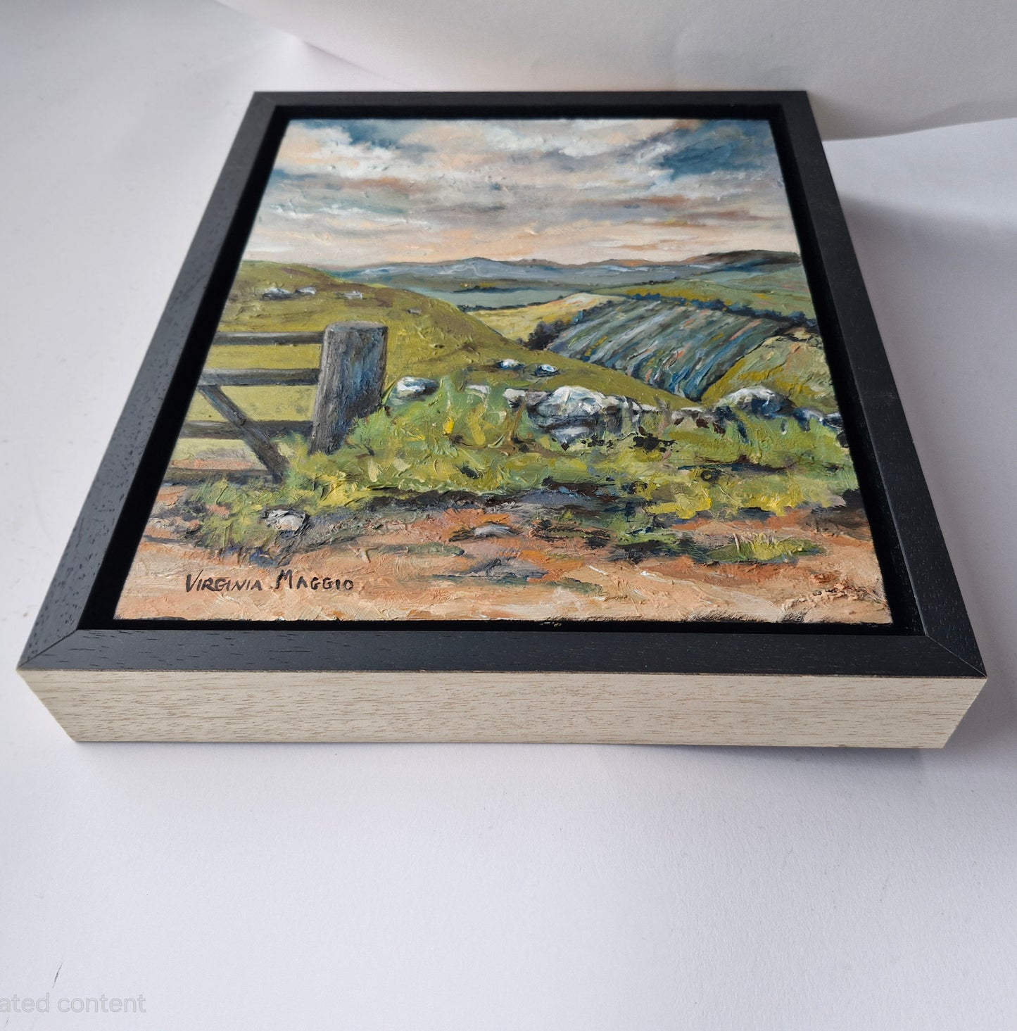 East Lothian Fields from Garleton Hill.