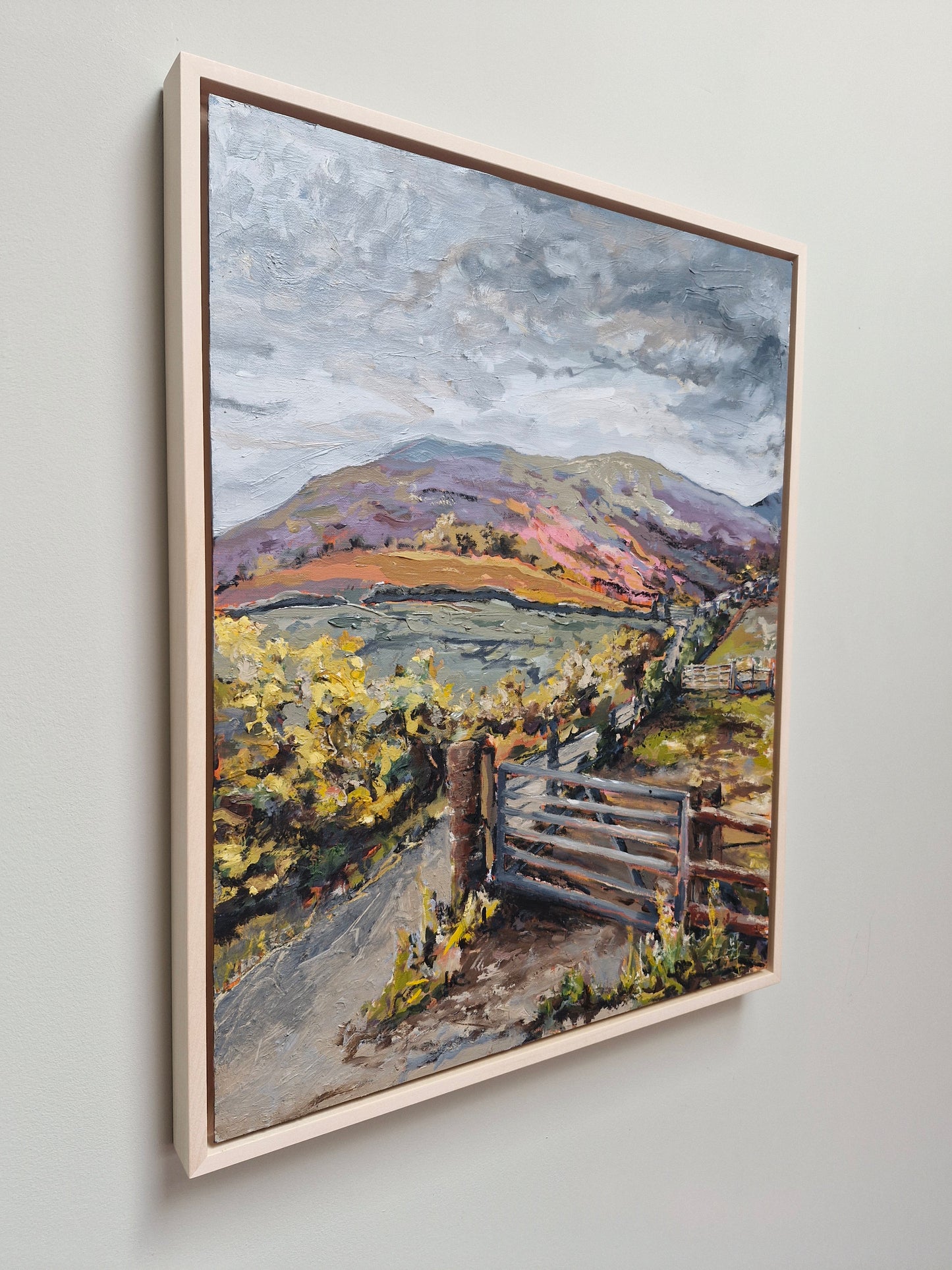 Lammerlaw series 1/3